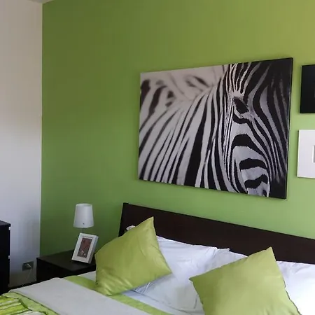 Royal Rooms Guest house Pisa